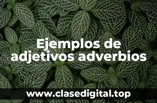 Ejemplos de adjetivos adverbios