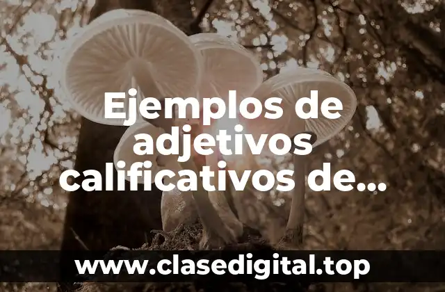 Ejemplos de adjetivos calificativos de personas