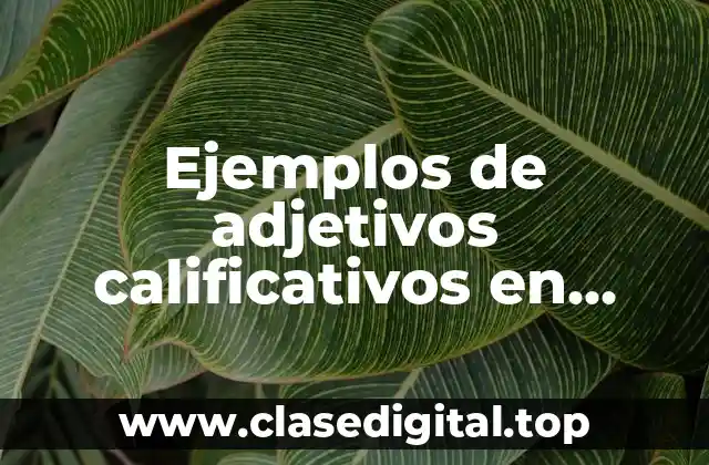 Ejemplos de adjetivos calificativos en inglés y español