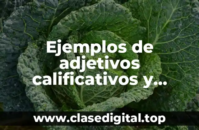 Ejemplos de adjetivos calificativos y determinativos