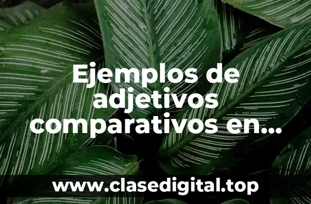 Ejemplos de adjetivos comparativos en negativos