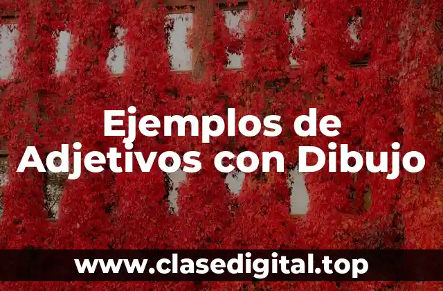 Ejemplos de Adjetivos con Dibujo