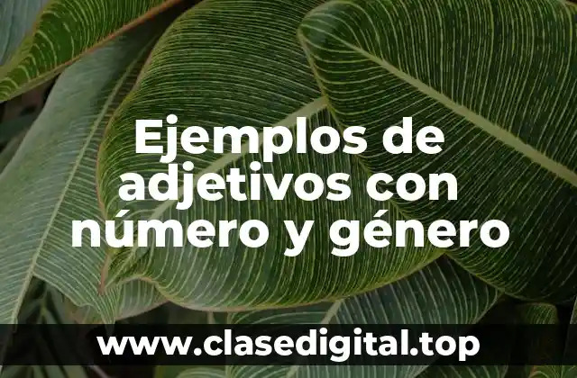 Ejemplos de adjetivos con número y género