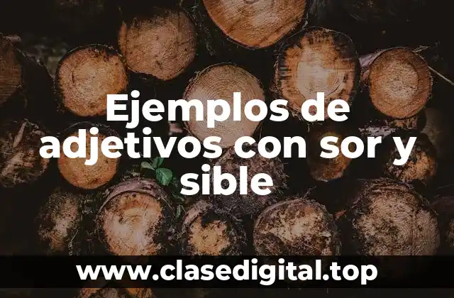 Ejemplos de adjetivos con sor y sible