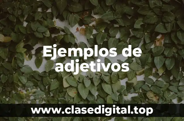 Ejemplos de adjetivos