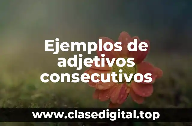 Ejemplos de adjetivos consecutivos