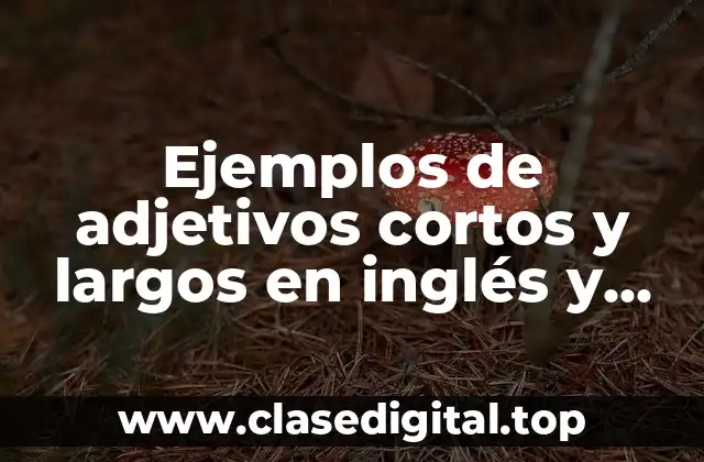 Ejemplos de adjetivos cortos y largos en inglés y español