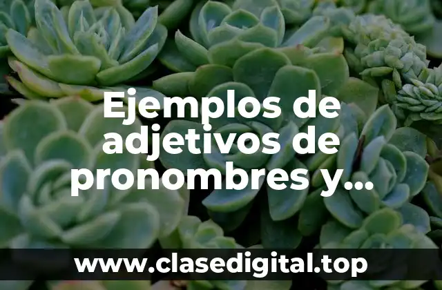 Ejemplos de adjetivos de pronombres y Significado