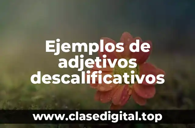 Ejemplos de adjetivos descalificativos