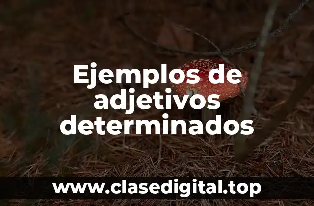 Ejemplos de adjetivos determinados