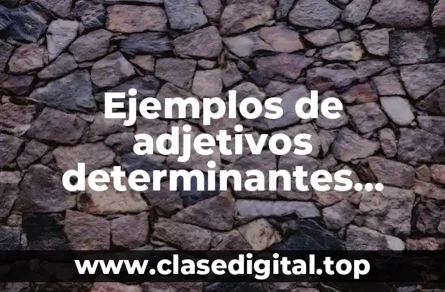 Ejemplos de adjetivos determinantes posesivos y Significado