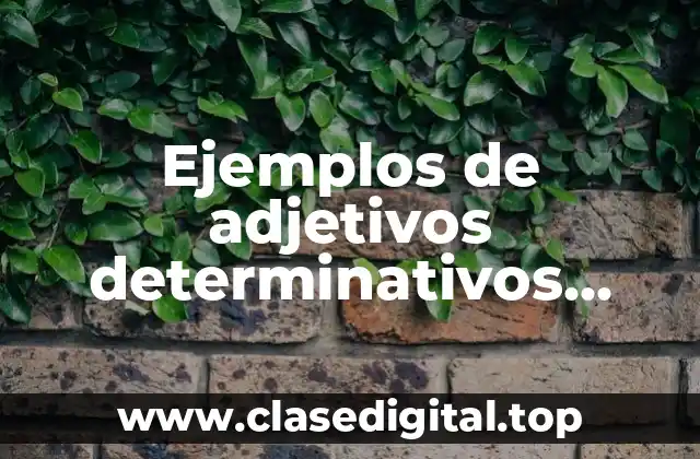 Ejemplos de adjetivos determinativos posesivos