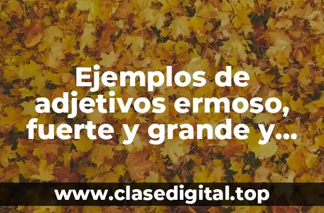 Ejemplos de adjetivos ermoso, fuerte y grande y Significado