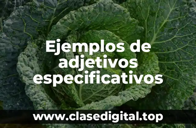 Ejemplos de adjetivos especificativos