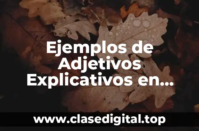 Ejemplos de Adjetivos Explicativos en Inglés