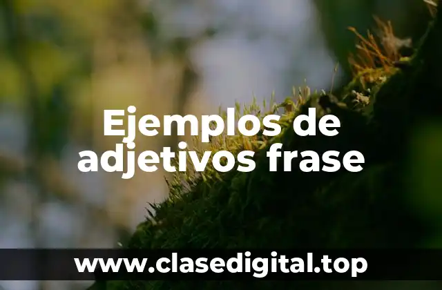 Ejemplos de adjetivos frase