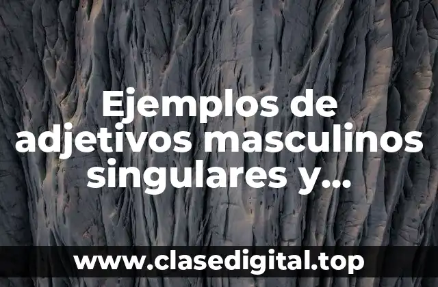 Ejemplos de adjetivos masculinos singulares y Significado