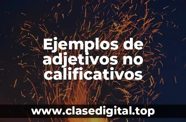 Ejemplos de adjetivos no calificativos