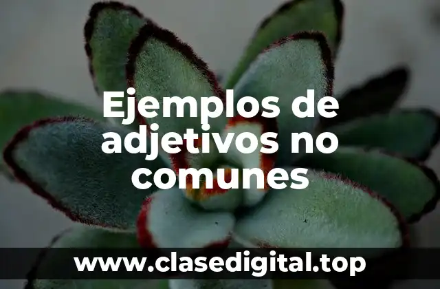 Ejemplos de adjetivos no comunes