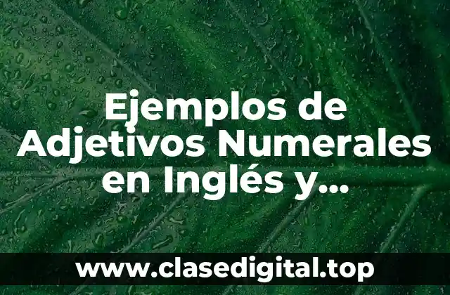 Ejemplos de Adjetivos Numerales en Inglés y Significado