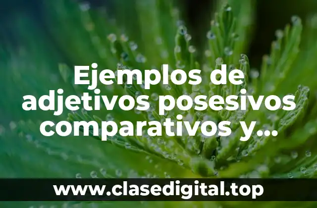Ejemplos de adjetivos posesivos comparativos y superlativos