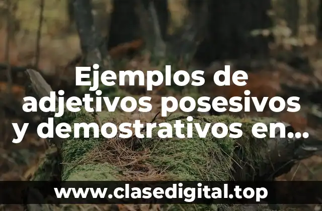 Ejemplos de adjetivos posesivos y demostrativos en inglés