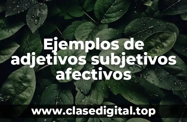 Ejemplos de adjetivos subjetivos afectivos