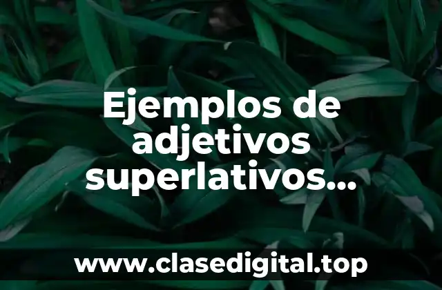 Ejemplos de adjetivos superlativos terminados en isima e isimo