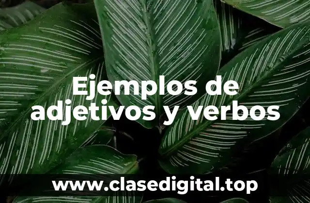 Ejemplos de adjetivos y verbos