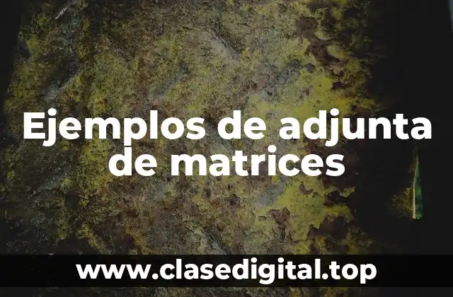 Ejemplos de adjunta de matrices