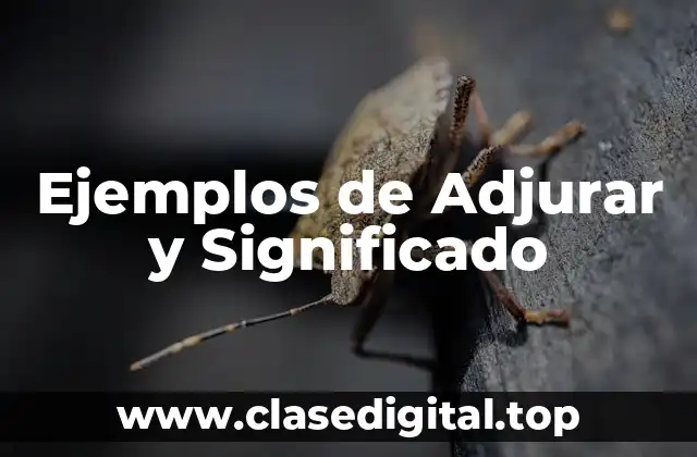 Ejemplos de Adjurar y Significado