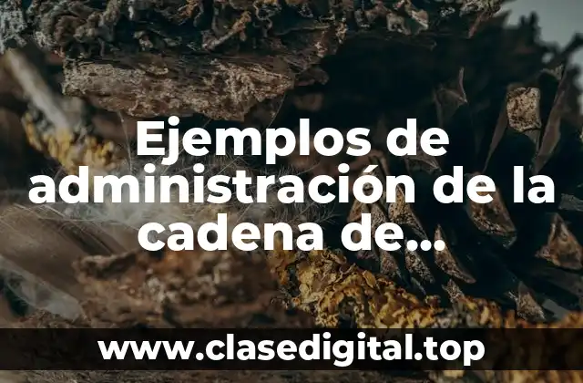 Ejemplos de administración de la cadena de suministros