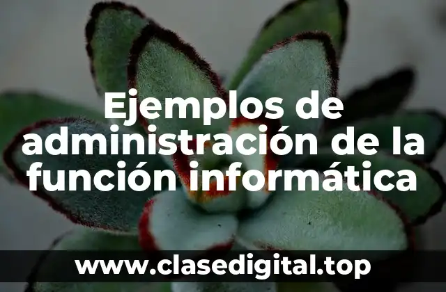 Ejemplos de administración de la función informática