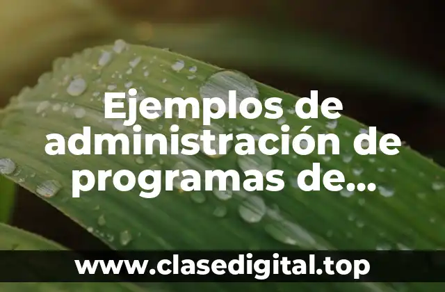 Ejemplos de administración de programas de trabajo social