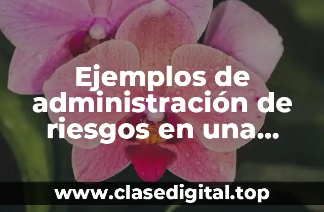 Ejemplos de administración de riesgos en una empresa