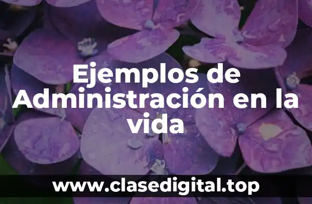 Ejemplos de Administración en la vida