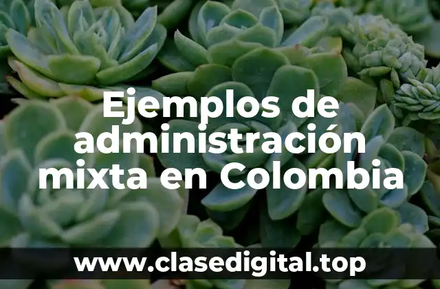 Ejemplos de administración mixta en Colombia