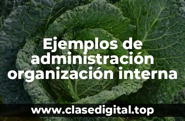Ejemplos de administración organización interna