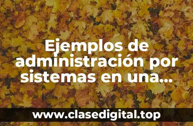 Ejemplos de administración por sistemas en una empresa