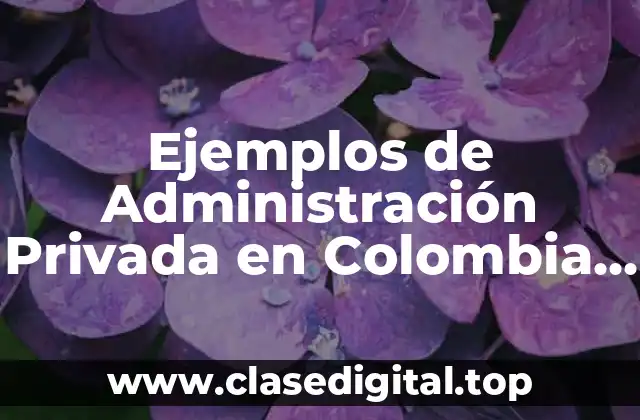 Ejemplos de Administración Privada en Colombia y Significado