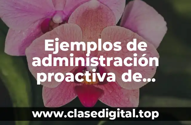 Ejemplos de administración proactiva de derechos humanos