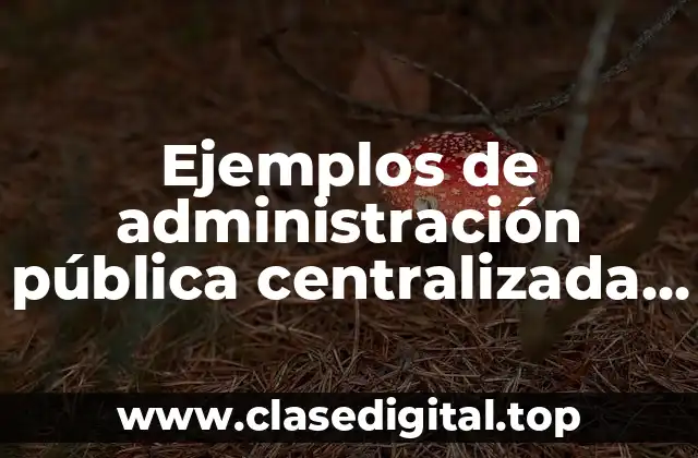 Ejemplos de administración pública centralizada y paraestatal
