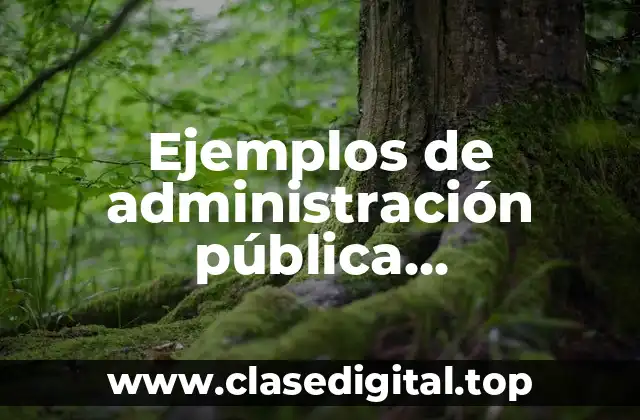 Ejemplos de administración pública descentralizada en Michoacán