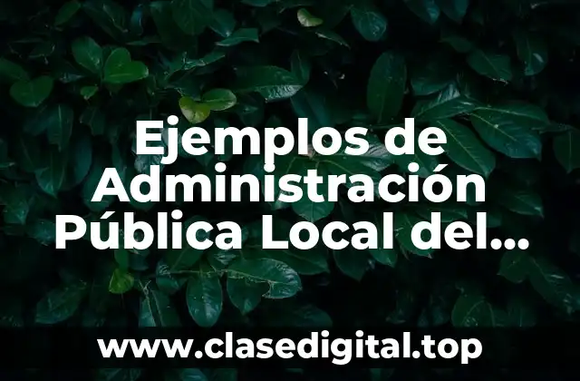 Ejemplos de Administración Pública Local del Estado de México