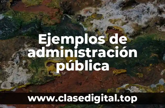 Ejemplos de administración pública