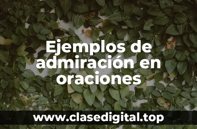 Ejemplos de admiración en oraciones
