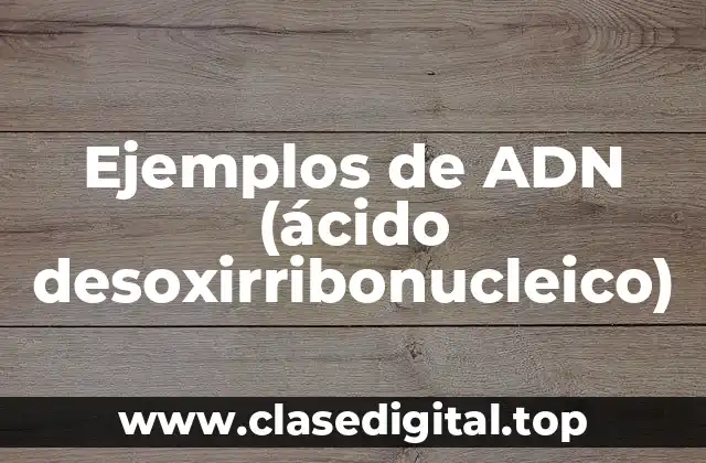 Ejemplos de ADN (ácido desoxirribonucleico)