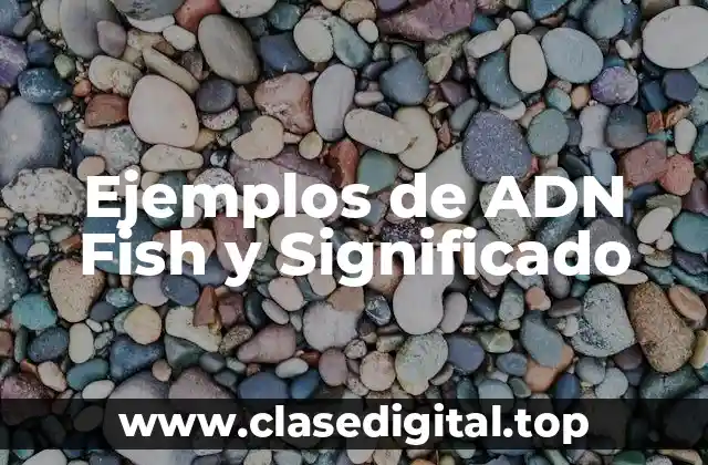 Ejemplos de ADN Fish y Significado