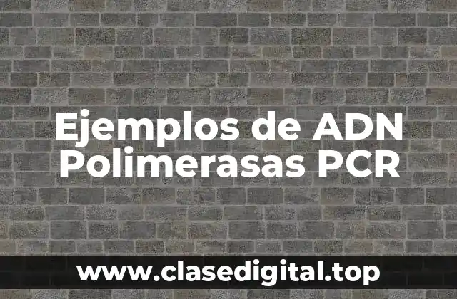 Ejemplos de ADN Polimerasas PCR