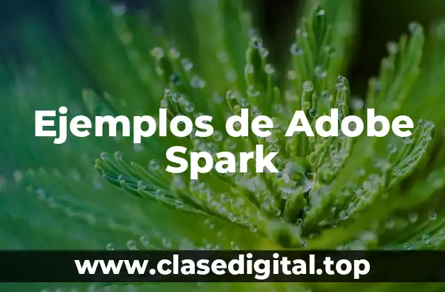 Ejemplos de Adobe Spark
